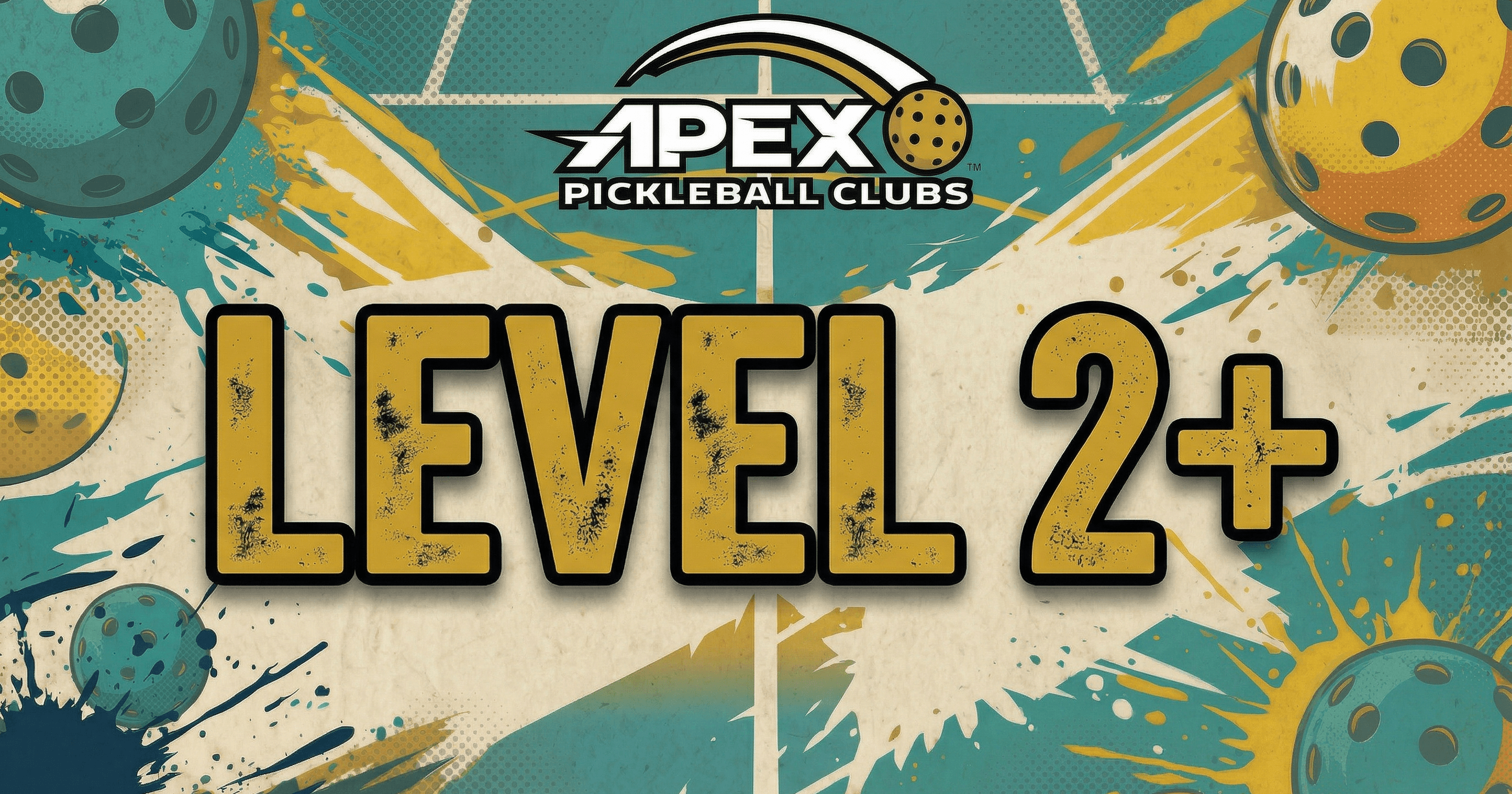Level 2+ Open Play